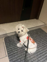 Photos paterkiewiczmarc96