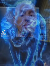 Foto utilizatorului DariuszLic