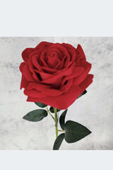 Fotos paulinamarkiewic48