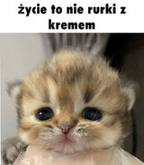 Zdjęcie użytkownika Kitlinski