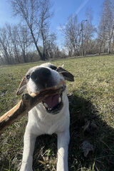 Zdjęcie użytkownika kamiladomanska