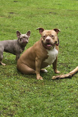 Foto pengguna fabianciszewski87