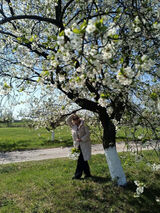 Fotka uživatele Joana0512