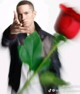 Zdjęcie użytkownika Niewiem5