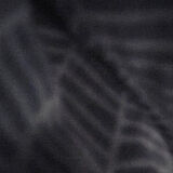 Zdjęcie użytkownika cesi999