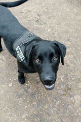 Foto pengguna tomaszwojtasik81