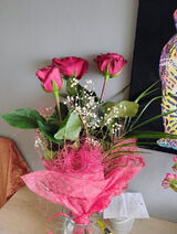 Фото користувача iwanowskiiwona4