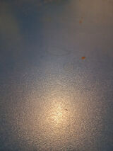 Zdjęcie użytkownika przea