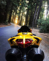 Foto utilizatorului DANIEL1488DANIEL