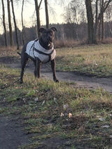 Фотография пользователя woj9tas3