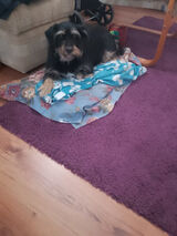 Zdjęcie użytkownika beniaminstafin9080