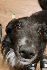 Фотография пользователя Tomasz3476