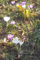 Foto utilizatorului NieznanaLuna