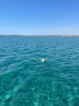 Foto pengguna jestemm1si3k