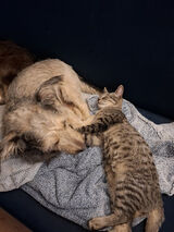 Fotka uživatele SenNocyLetniej