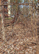 Фото користувача Natuslk