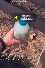 Zdjęcie użytkownika Miroo25