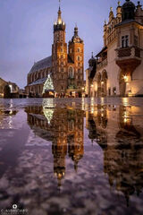 Zdjęcie użytkownika lfcm