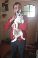 Fotos myslakbasiamaria5