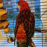 Fotka uživatele WilsonM22