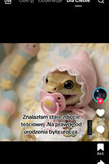 Zdjęcie użytkownika gumis26200026