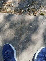 Zdjęcie użytkownika bialasroman05