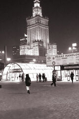 Fotos toladrozdowska