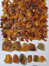 Foto pengguna rborowiec0651975