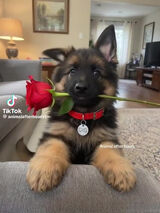 Fotka uživatele piotrek6610