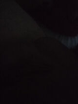 Фотография пользователя Arholond