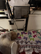 Fotka uživatele Szczuply33