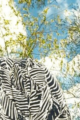 Фото користувача Aachna