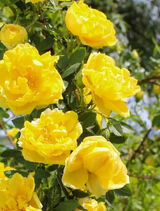 Zdjęcie użytkownika Edek2222