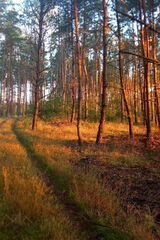 Фотография пользователя Marcin0476