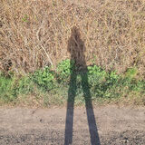 Фотография пользователя xenia11855