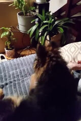 Zdjęcie użytkownika Rafal19913