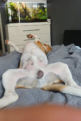 Фото користувача lukaszgrabski2485