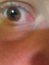 Фото користувача niktw1036