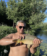 Fotos SympatycznyMisiek