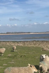 Фото користувача joannameyer75