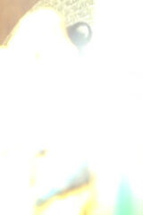 Fotos TierPL