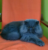 Фотография пользователя Marioo357