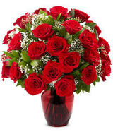 Фотография пользователя giftfrank617