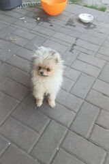 Фотография пользователя u0436994829