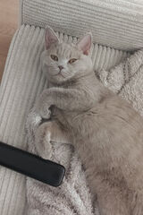 Photos Ksyro