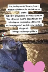 Zdjęcie użytkownika AnnW9