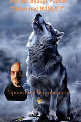 Фотография пользователя DawidMatecki