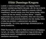 Фотография пользователя IDaniel