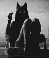 Фотография пользователя ManiekManiekManiek