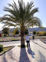 Фотография пользователя roster14